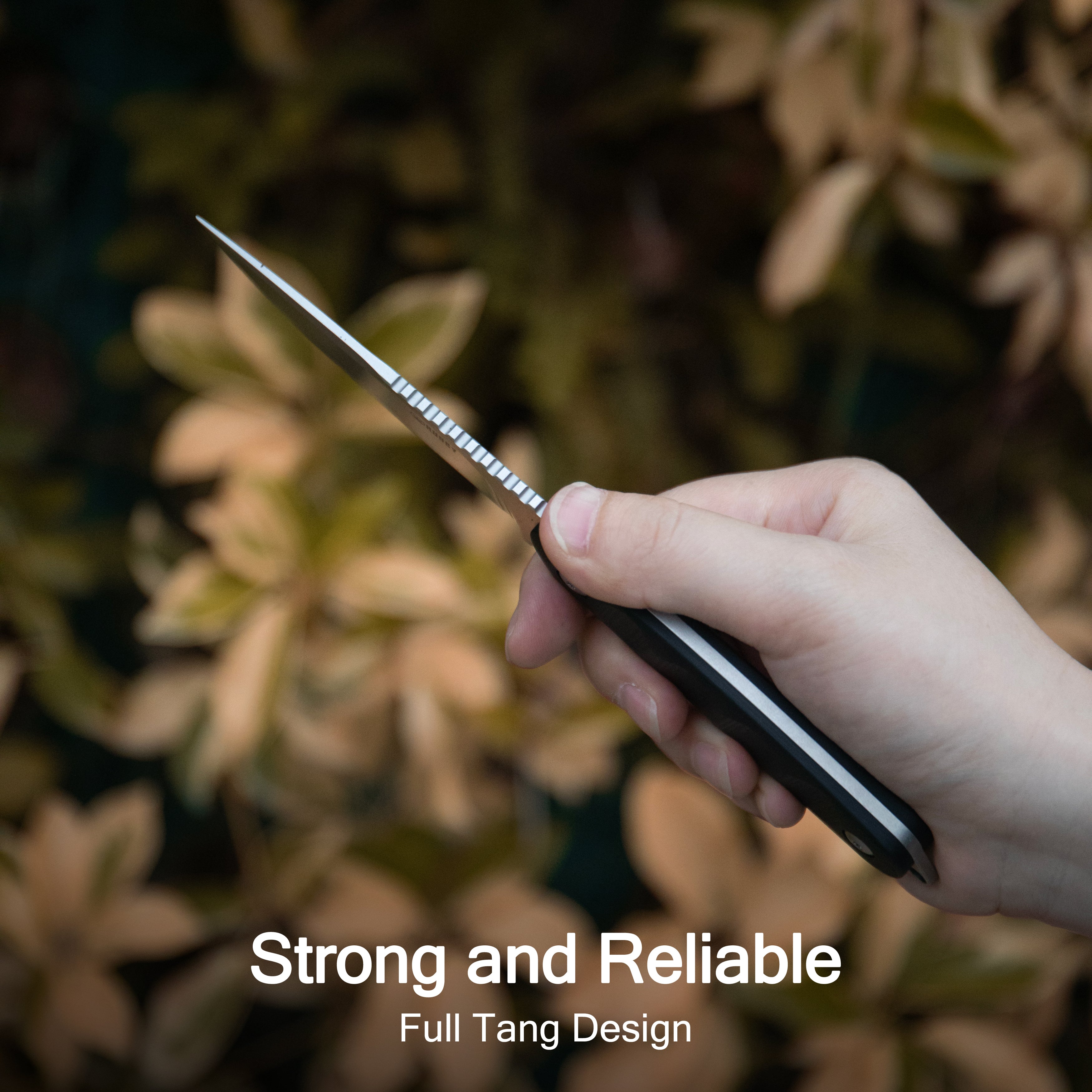 Kubey Civet Fixed Blade Knife Black G-10 Handle 3.74" Beadblast 14C28N Blade KU425A