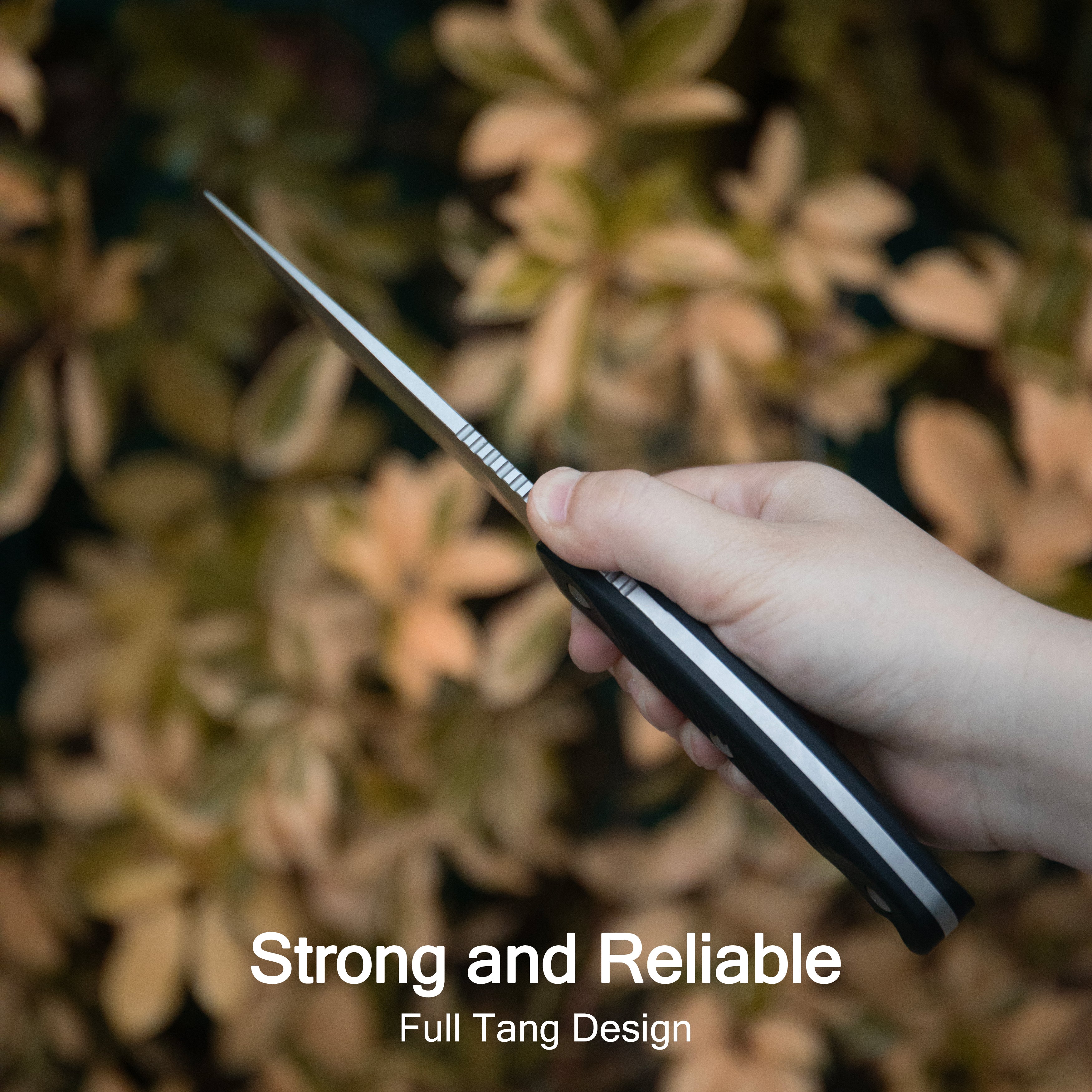 Kubey Bearcat Fixed Blade Knife Black G-10 Handle 4.73" Beadblast 14C28N Blade KU426A